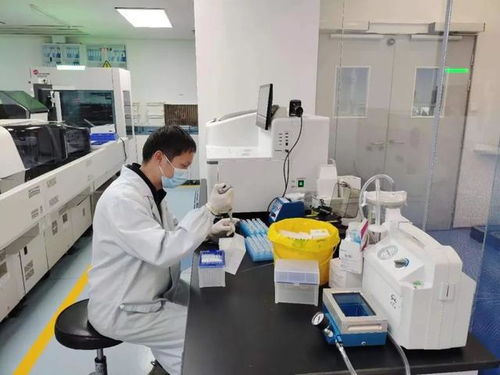科技賦能醫療創新 閔行企業推動全球首款卵巢癌診斷教育軟件的突破